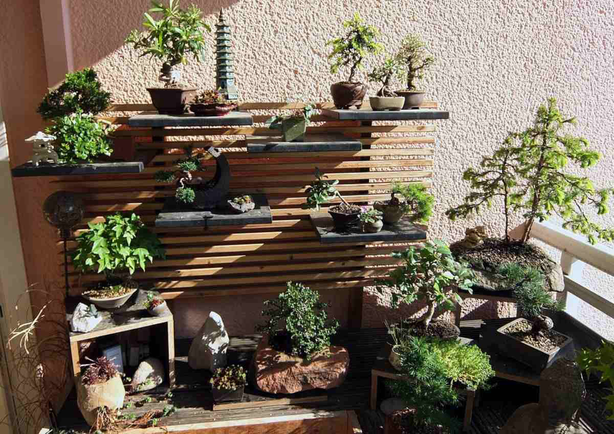 kerala-indoor-plants-ideas