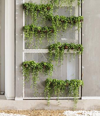 vertical garden