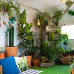 indoor plants kerala