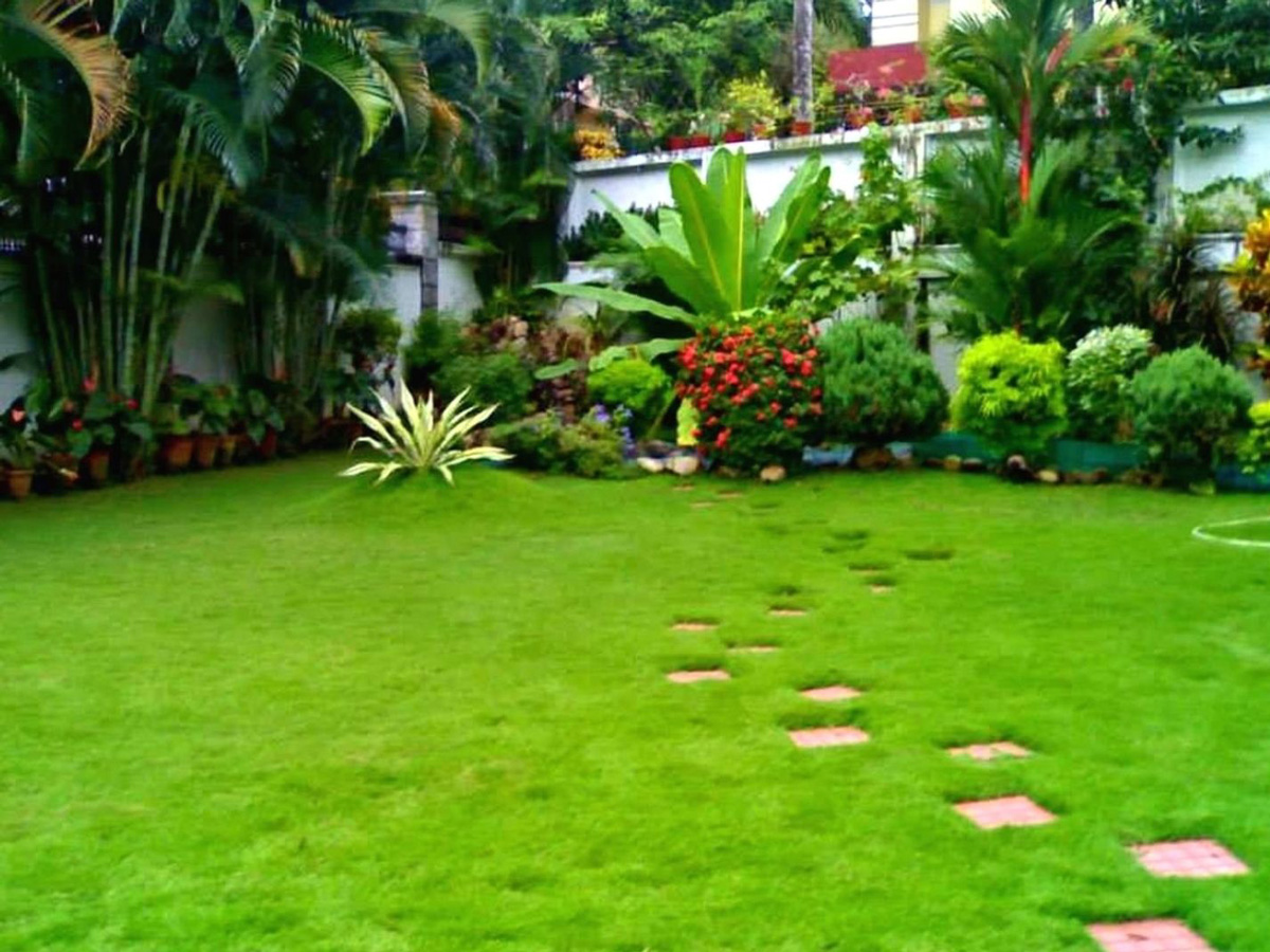 kerala house landscape