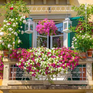 balcony garden ideas