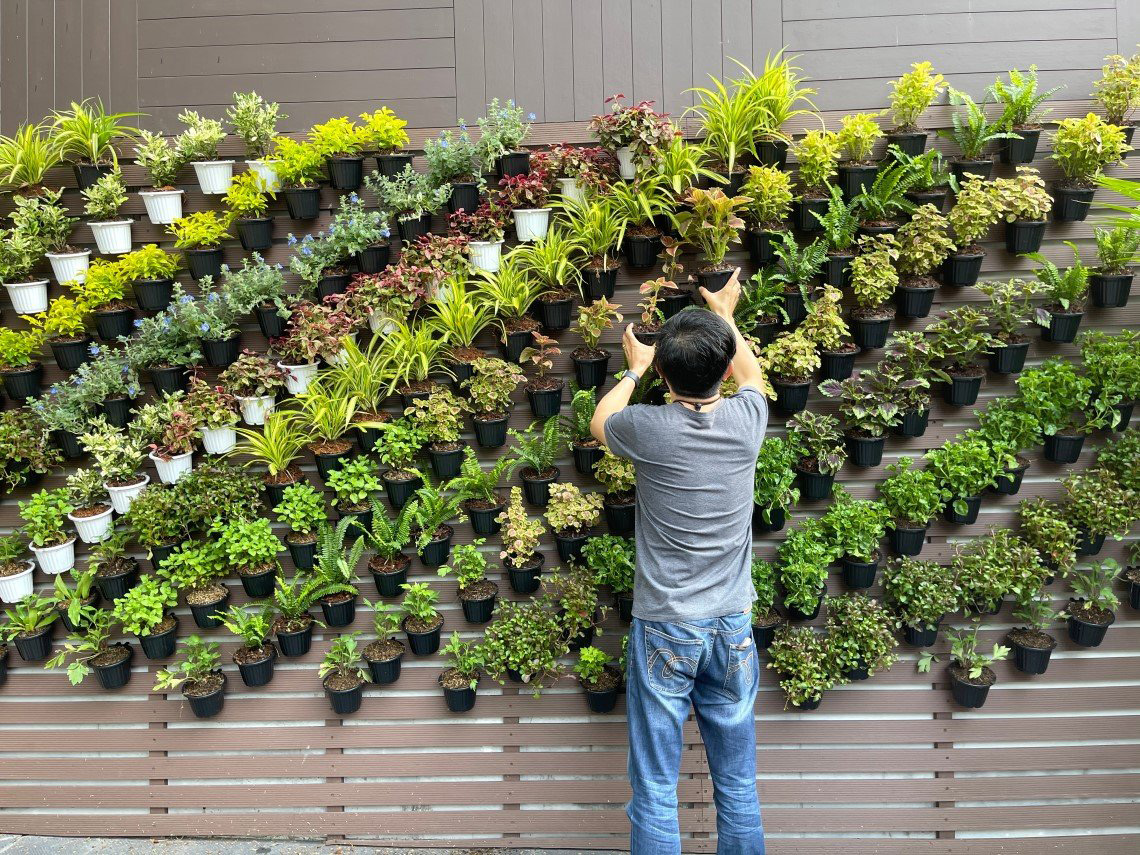 Vertical gardens ideas